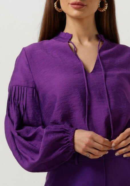 Paarse FREEBIRD  WV-SHINE-VIS-23-1 - large