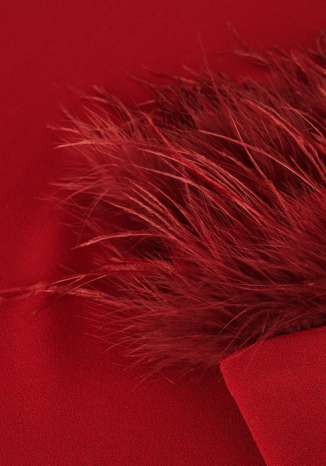 ANA ALCAZAR Mini robe DRESS FEATHERS en rouge - large