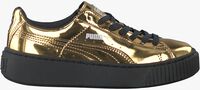 gold PUMA shoe 362339  - medium