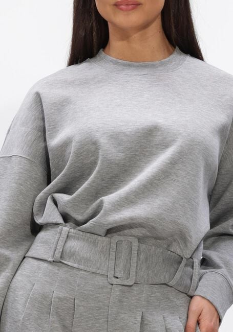 CO'COUTURE LANCE BELT SWEAT Pulls & Gilets en gris - large