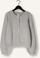 Grijze AI&KO Vest JADY PES 442 G - medium