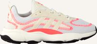 Witte ADIDAS Lage sneakers HAIWEE C - medium