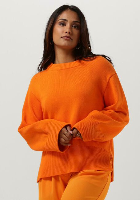 Oranje MODSTRÖM Trui CORBIN MD O-NECK - large