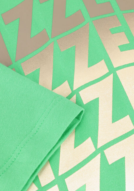 RAIZZED T-shirt HAW en vert - large