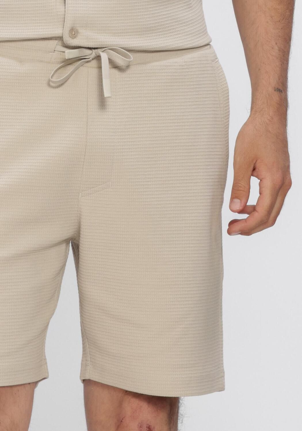 CHASIN Pantalon courte 23110006_STONE.S STRUCTURE en beige - large