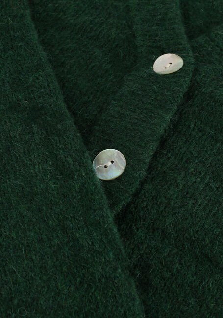 Groene MSCH COPENHAGEN Vest MSCHPETRINELLE HOPE CARDIGAN Groene MSCH COPENHAGEN Vest MSCHPETRINELLE HOPE CARDIGAN - large
