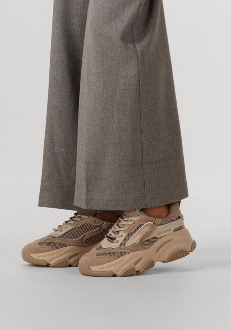 Taupe STEVE MADDEN Sneakers JPOSSESSION - large