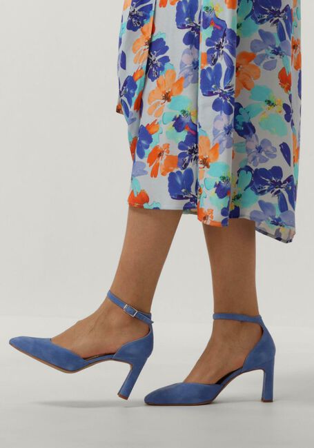 Blauwe UNISA  WARREN Blauwe UNISA  WARREN - large