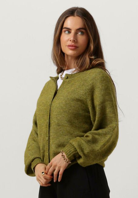 Groene MSCH COPENHAGEN Trui MSCHZASHA HOPE CARDIGAN - large