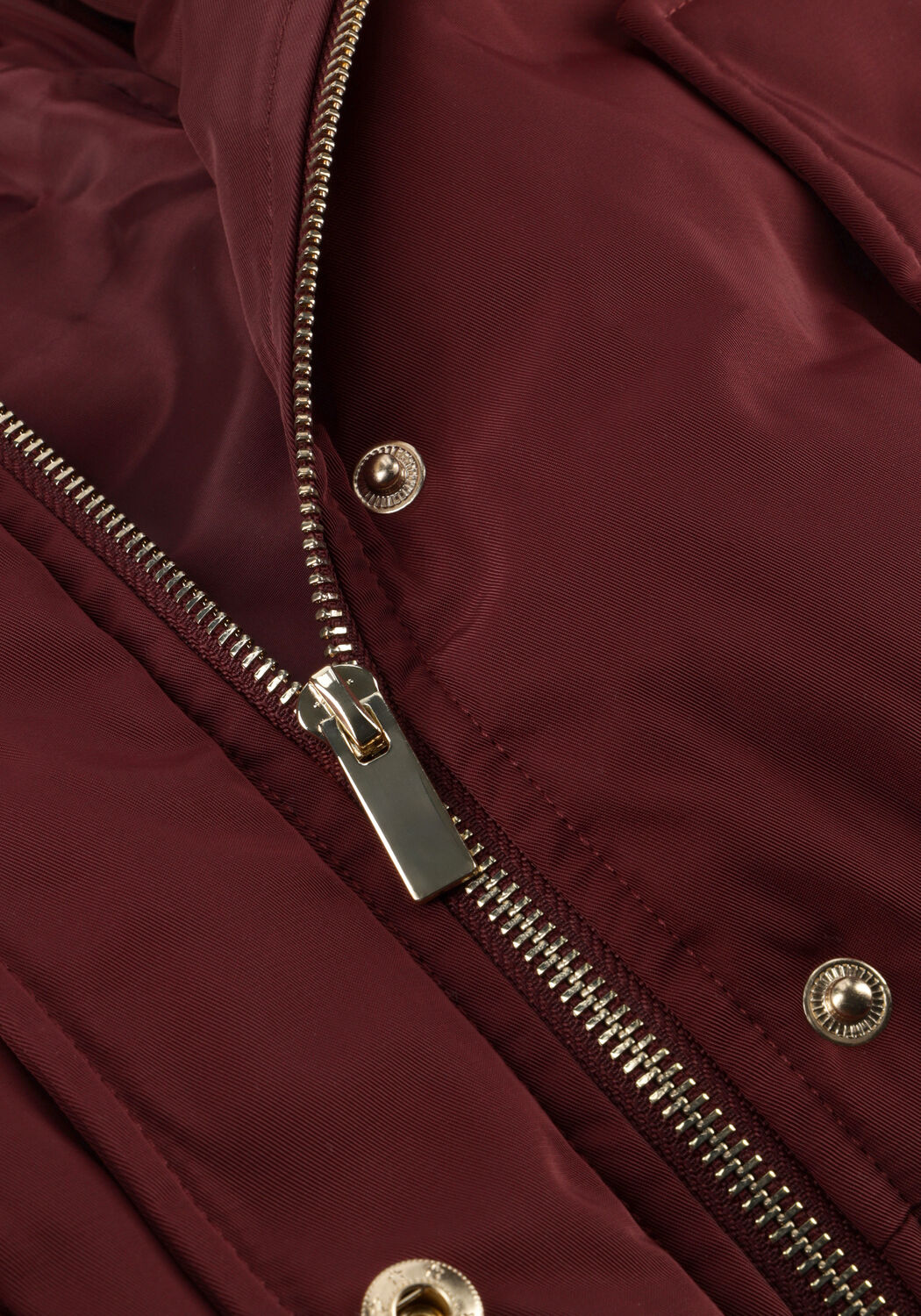 Bordeaux THE LOLA CLUB Jack LEAH - large