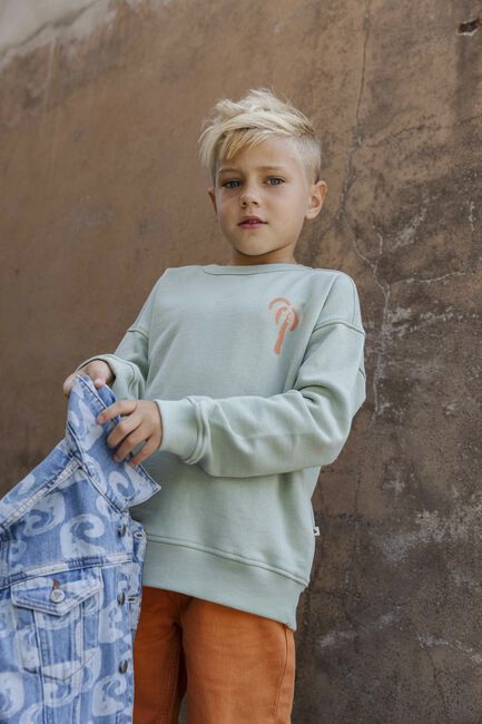 Mint AMMEHOELA Sweater AM.ROCKY.63 - large