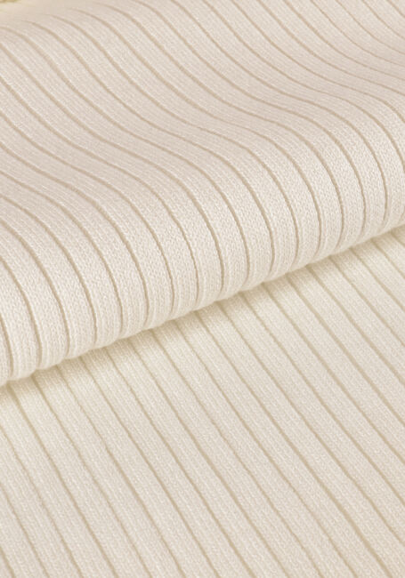 Witte JOSH V Coltrui JALISA Witte JOSH V Coltrui JALISA - large