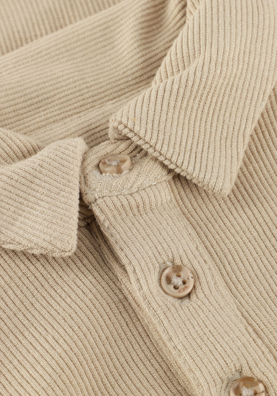 Taupe BAJE STUDIO  CANIAS - large