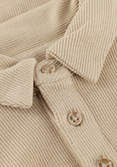 Taupe BAJE STUDIO  CANIAS - large