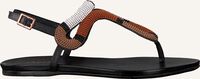 Zwarte AREZZO Sandalen A0327401060001U - medium