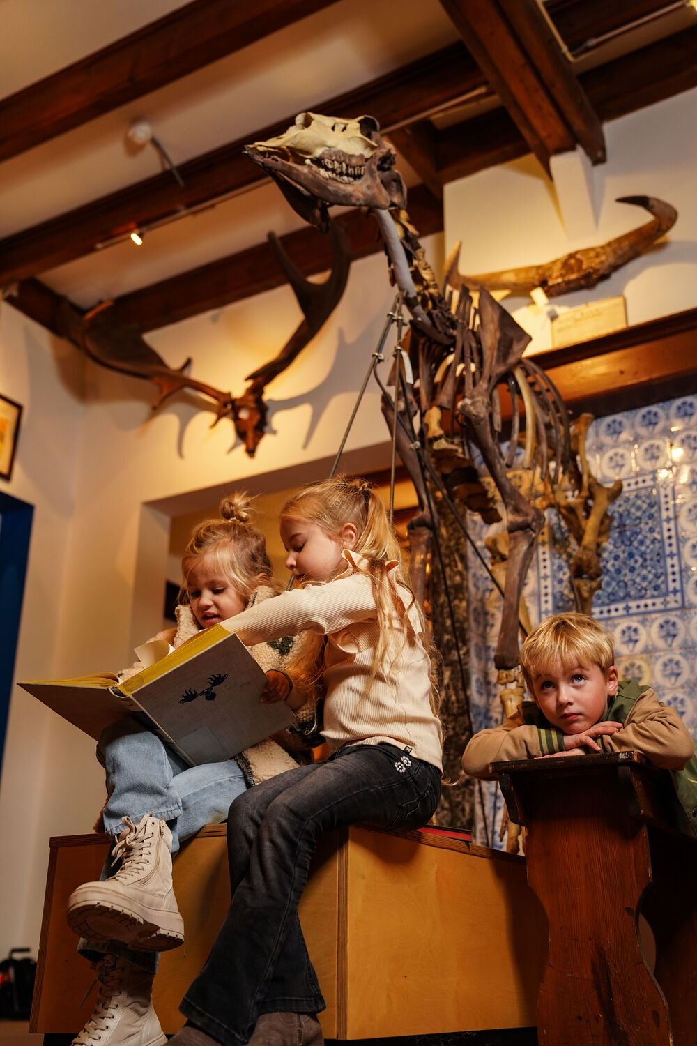 KOKO NOKO Flared jeans O56929 en noir - large