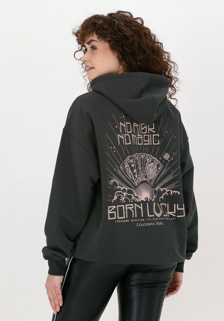 COLOURFUL REBEL Chandail BORN LUCKY EMBRO OVERSIZED HOO Anthracite - large