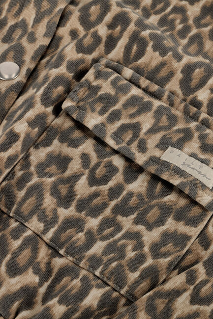 DAILY7 Jack SWEAT JACKET PRINT en multicolore - large