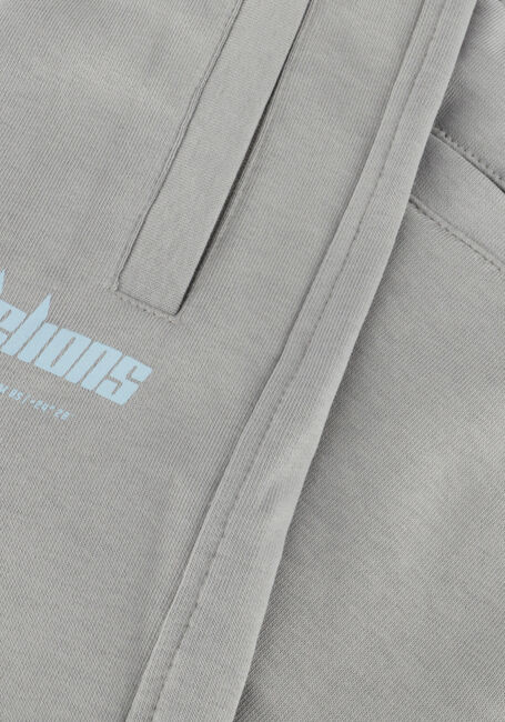 MALELIONS Pantalon courte WORLDWIDE SHORTS en gris - large