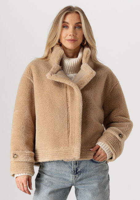 IBANA Jack CHRIS en camel - large