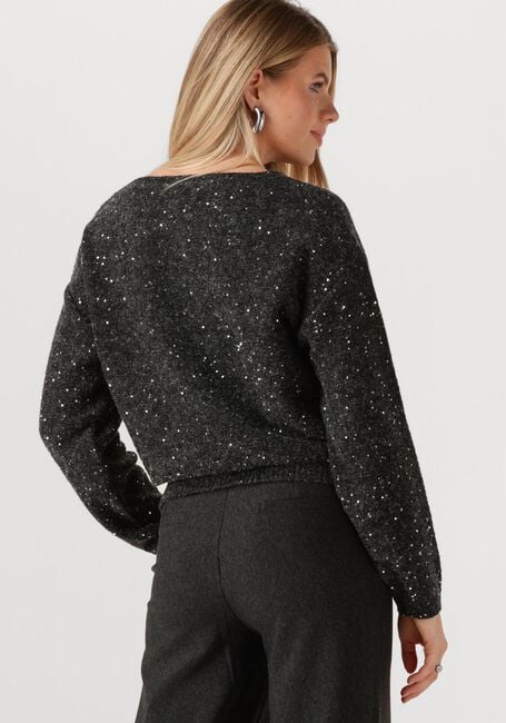 JANSEN AMSTERDAM Pull ANOUK TRUI HK 151 ROUND NECKLINE Gris foncé - large