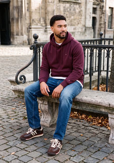 TOMMY JEANS Chandail TJM REG S FLAG HOODIE EXT Bordeaux - large