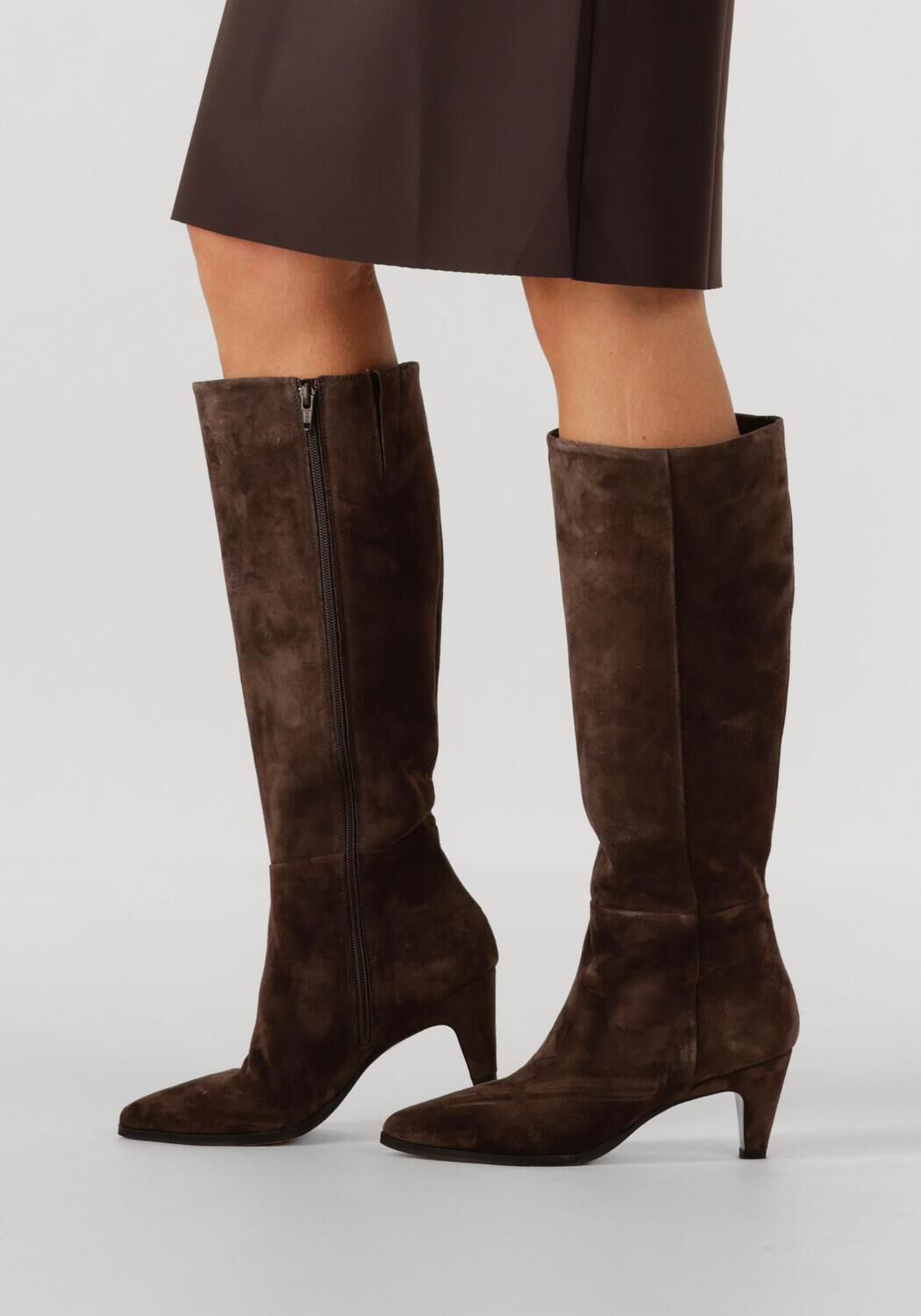 Bruine VIA VAI  LINA PERRI - large