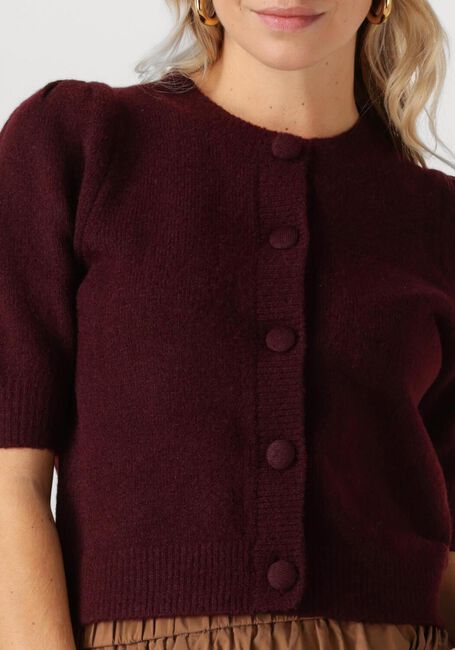 Bordeaux NOTRE-V Vest NV-GOLDA - large