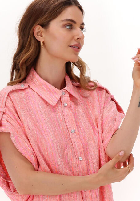 Roze IRO  FAHS - large