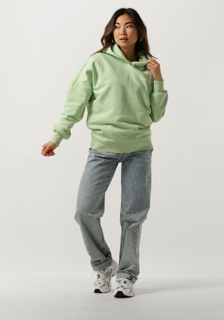 Mint COLOURFUL REBEL Trui CR BACK LOGO DROPPED SHOULDER HOODIE Mint COLOURFUL REBEL Trui CR BACK LOGO DROPPED SHOULDER HOODIE - large