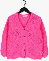 Roze AMMEHOELA Vest AM.GINNY.02 - medium