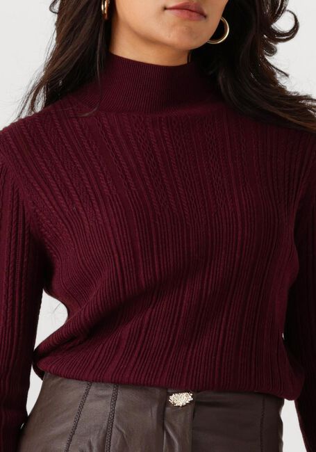 CAROLINE BISS Pull 4200 Bordeaux - large
