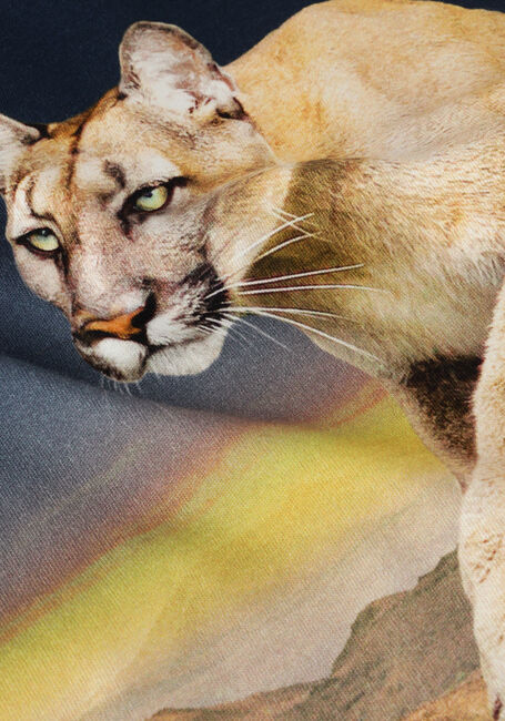 MOLO T-shirt ROXO Bleu foncé - large