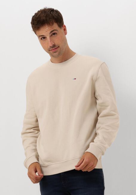 TOMMY JEANS Pull TJM REG S FLAG CREW en beige - large