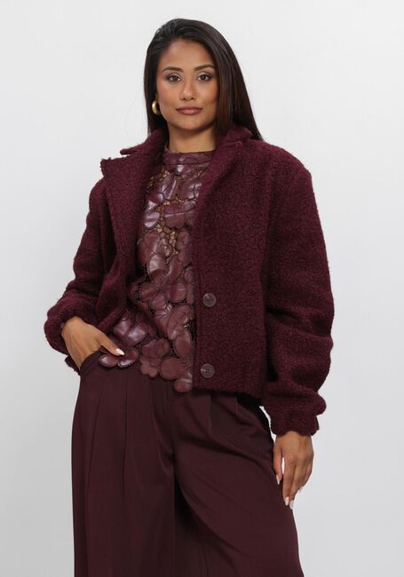 Bordeaux NUKUS Teddy jas MADELIN JACKET BOUCLE - large