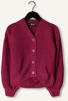 Paarse Z8 Vest JESKE Paarse Z8 Vest JESKE - medium