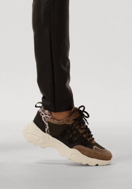 Taupe TANGO Sneakers ALICIA 2 - large