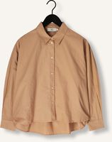 Bruine RUBY TUESDAY  IBINE Bruine RUBY TUESDAY  IBINE - medium