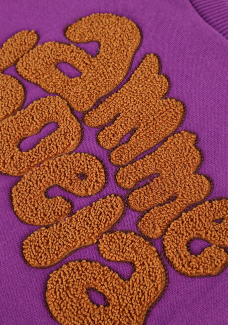 Paarse AMMEHOELA Trui AM.AVALYN.01 - large