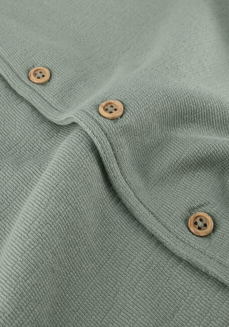 DAILY7 Polo T-SHIRT FANCY POLO en vert - large