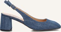 Blauwe NOTRE-V  3713 Blauwe NOTRE-V  3713 - medium
