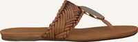 Cognac AREZZO Slippers A0327401070001U - medium