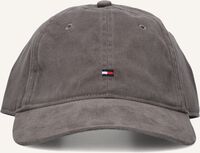 Grijze TOMMY HILFIGER Pet TH FLAG '85 SOFT - medium
