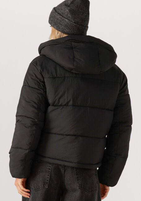 Zwarte TOMMY JEANS Gewatteerde jas TJW HOODED PUFFER JACKET - large