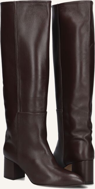 TORAL 12776 TORAL 12776 - large