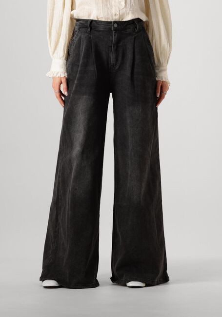 Grijze JANICE Wide jeans DOLLAR JEANS - large
