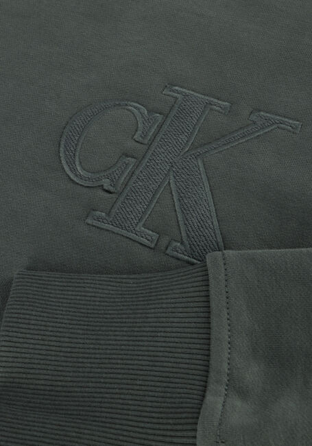 Grijze CALVIN KLEIN Sweater CK APPLIQUE CREW NECK Grijze CALVIN KLEIN Sweater CK APPLIQUE CREW NECK - large