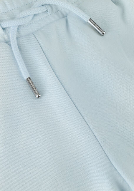 CALVIN KLEIN Pantalon courte RAISED EMBRO LOGO SHORTS Bleu clair - large