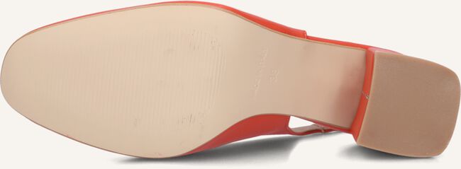 Rode LINA LOCCHI  010-150 Rode LINA LOCCHI  010-150 - large