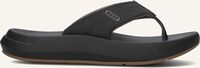Zwarte REEF Slippers SWELLSOLE CRUISER - medium